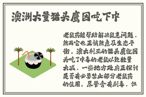 粉色电动玩具